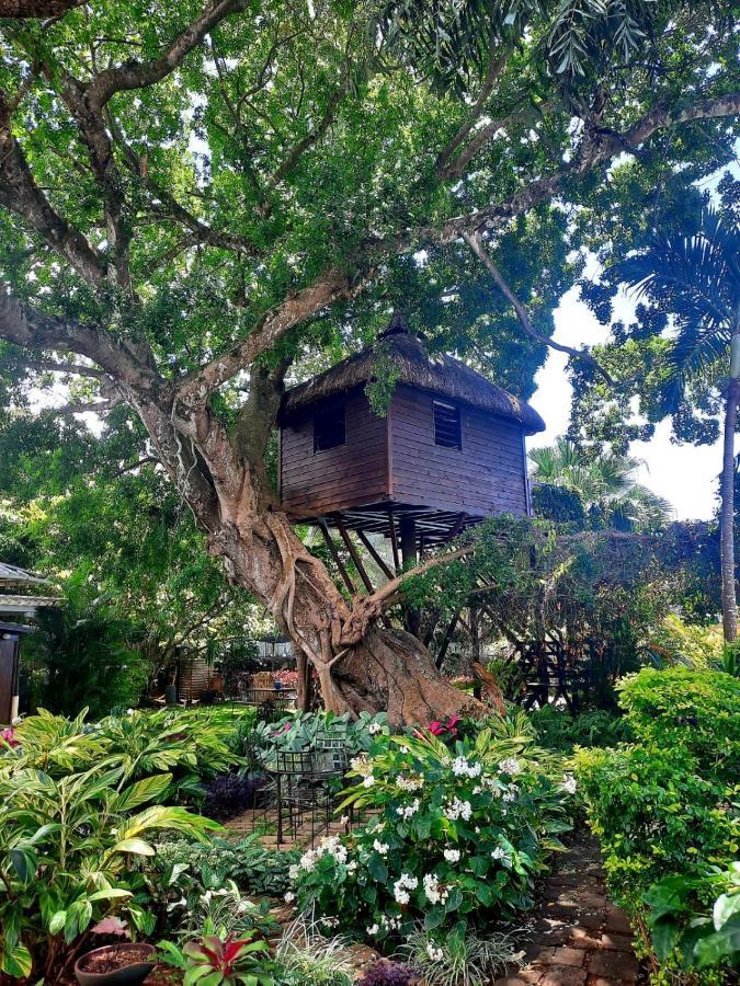 Tree Lodge Mauritius Belle Mare Exterior foto